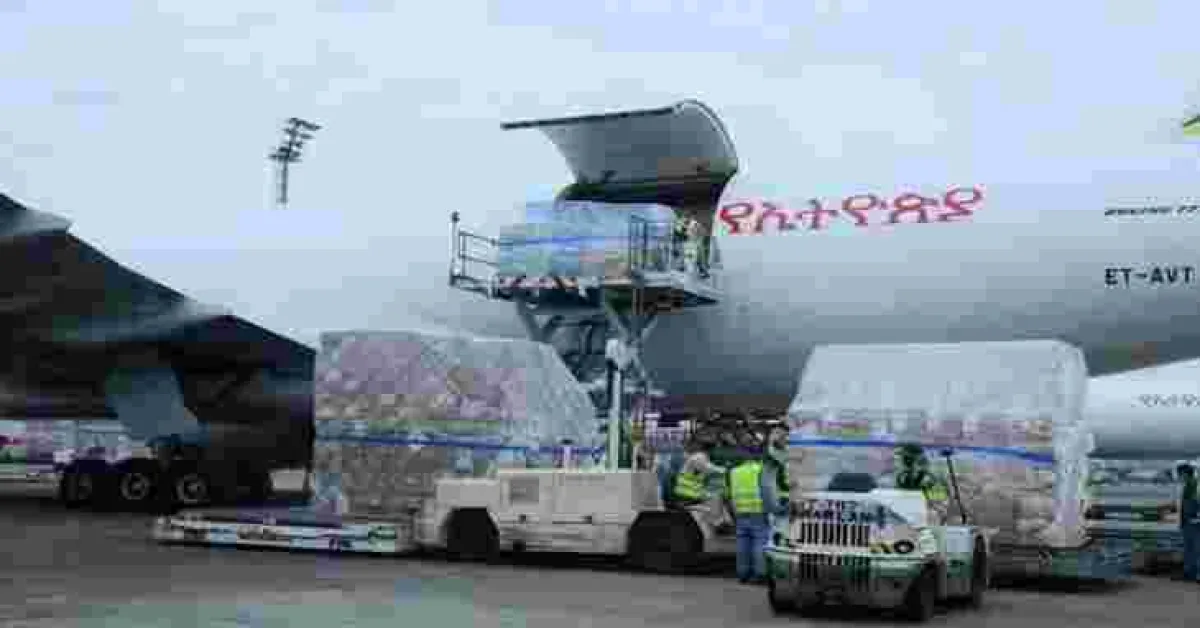 Police Open Probe as Sh160 Million Medical Supplies Donated to Kenya are 'Stolen' at JKIA