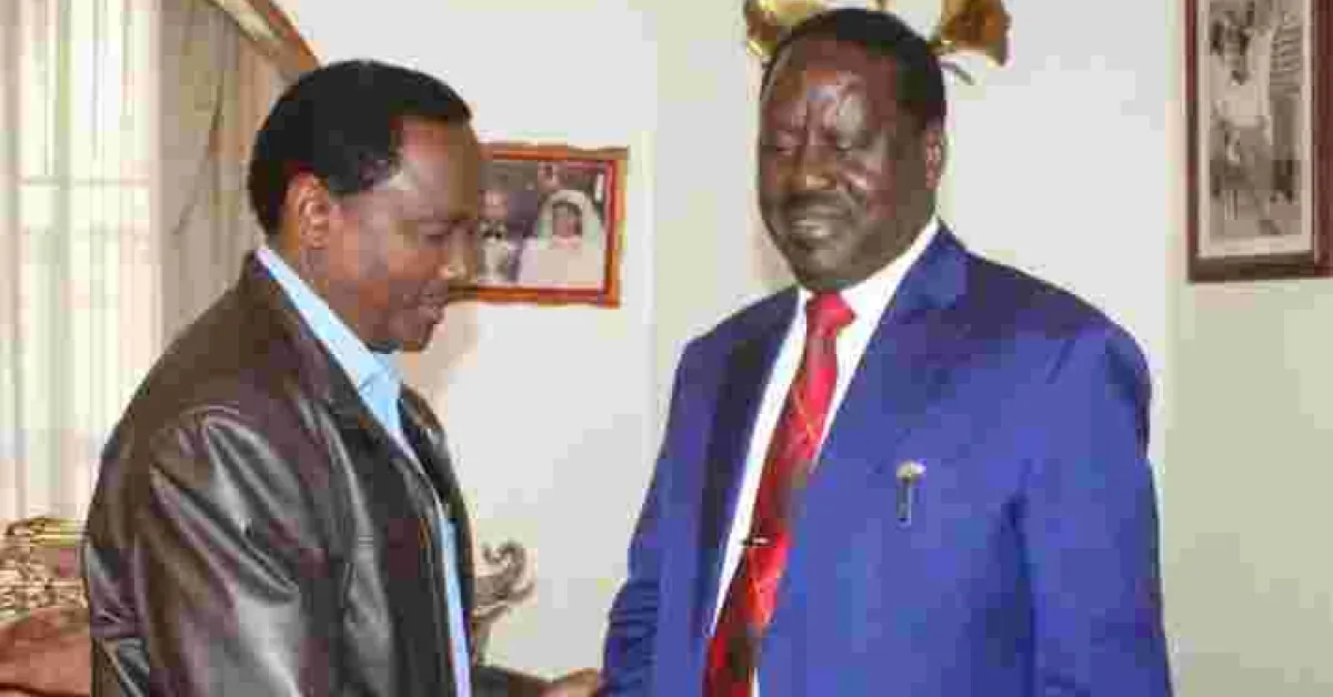 We Owe You Nothing, ODM Tells Kalonzo over Alleged 2022 Pact with Raila