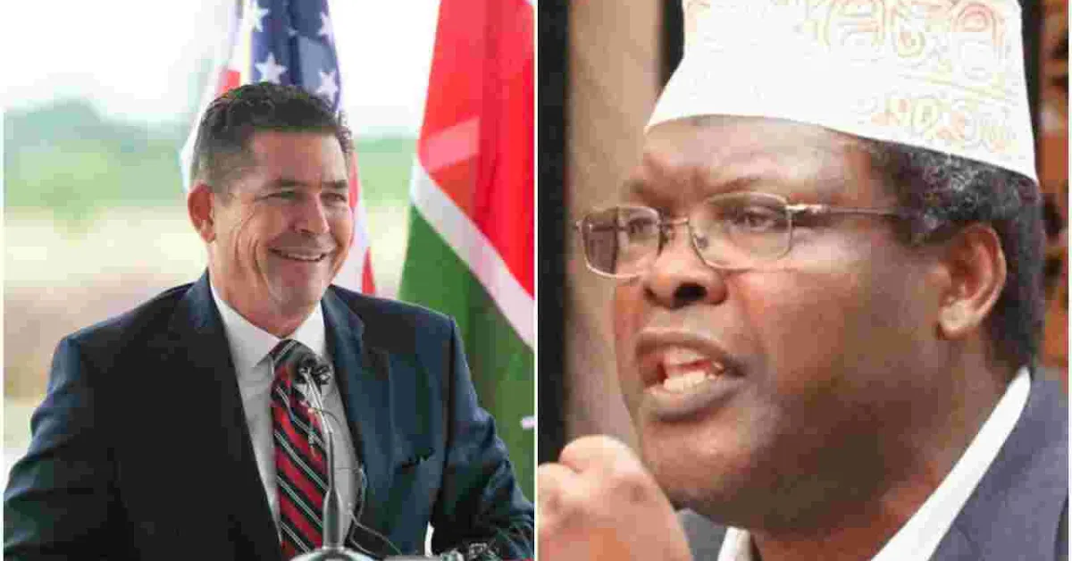 US Ambassador Kyle McCarter Engages in Twitter Tiff with Miguna Miguna