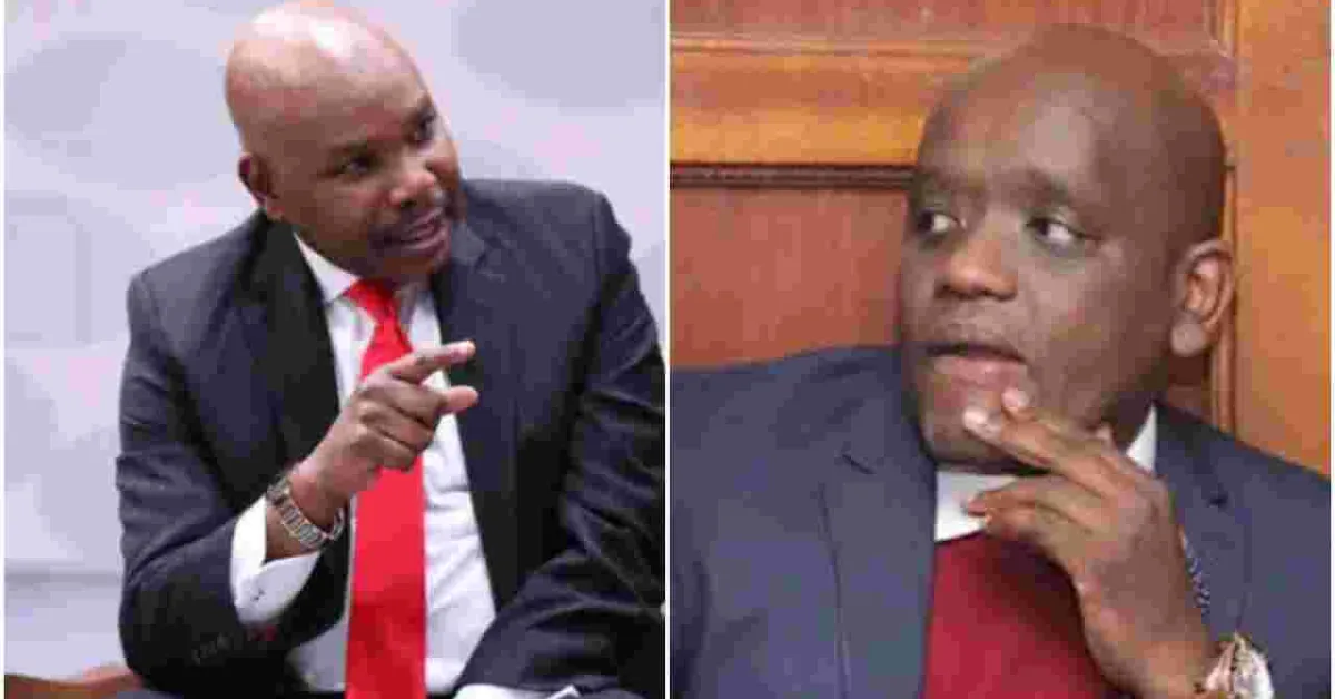 'Find a Partner and Have Kids', Makau Mutua Tells Blogger Dennis Itumbi in Twitter Spat