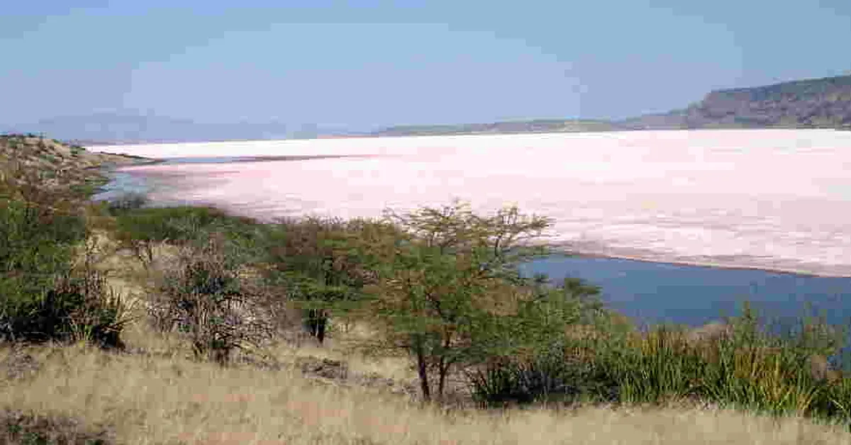 Lake Magadi, Kenya’s Only Source of Soda Ash on the Verge of Extinction