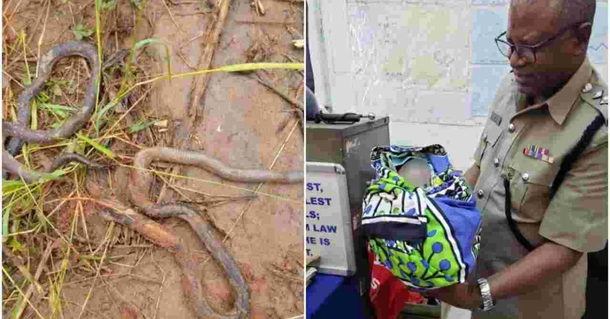 Newborn Baby Rescued Alive After Mother Dumped Him in Snake-Infested Septic Tank