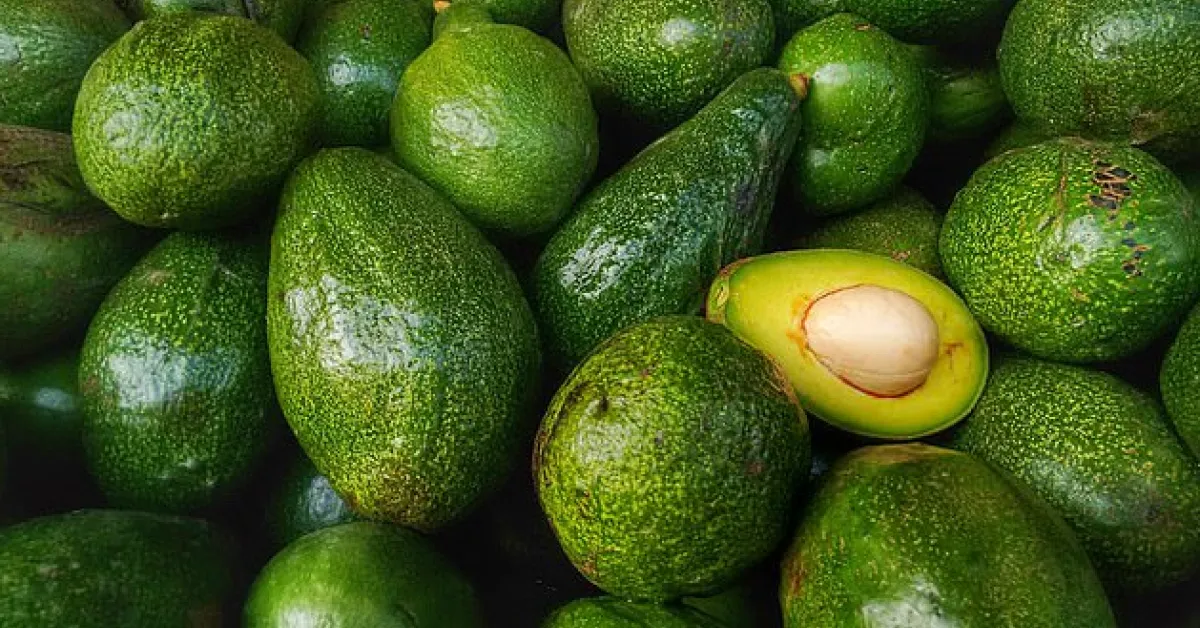 UK Giant Supermarket Tesco Suspends Avocados from Kenyan Farm After Claims of Human Rights Abuses