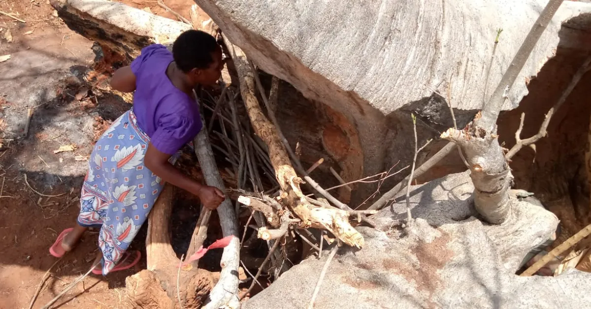 Pregnant Kenyan Woman and Her 6 Kids Live Inside Tree Stump for Months [PHOTOS]