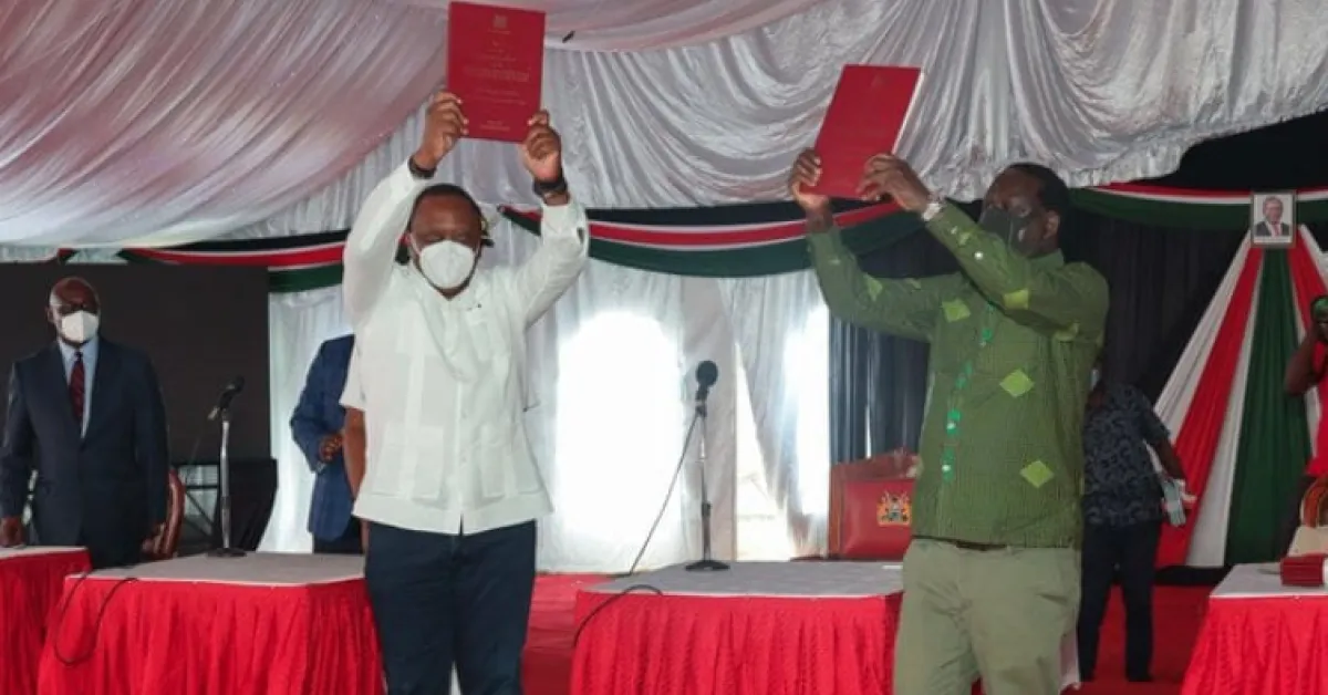 Say No to BBI Referendum, Lobby Group for Kenyans in the Diaspora Asks Voters