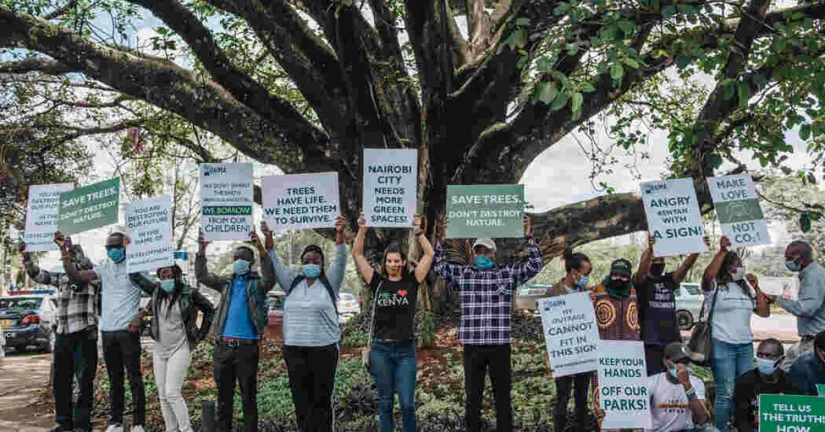 Uhuru Comes to the Rescue of 100-Year-Old Mugumo Tree Located in Westlands, Nairobi