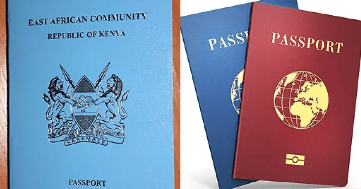 Wealth Kenyans Seeking Second Passports Turn to Caribbean Nations