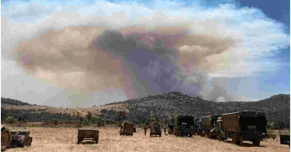 Probe Opened After 5 Elephants Killed by Fires Started by British Soldiers Training in Kenya