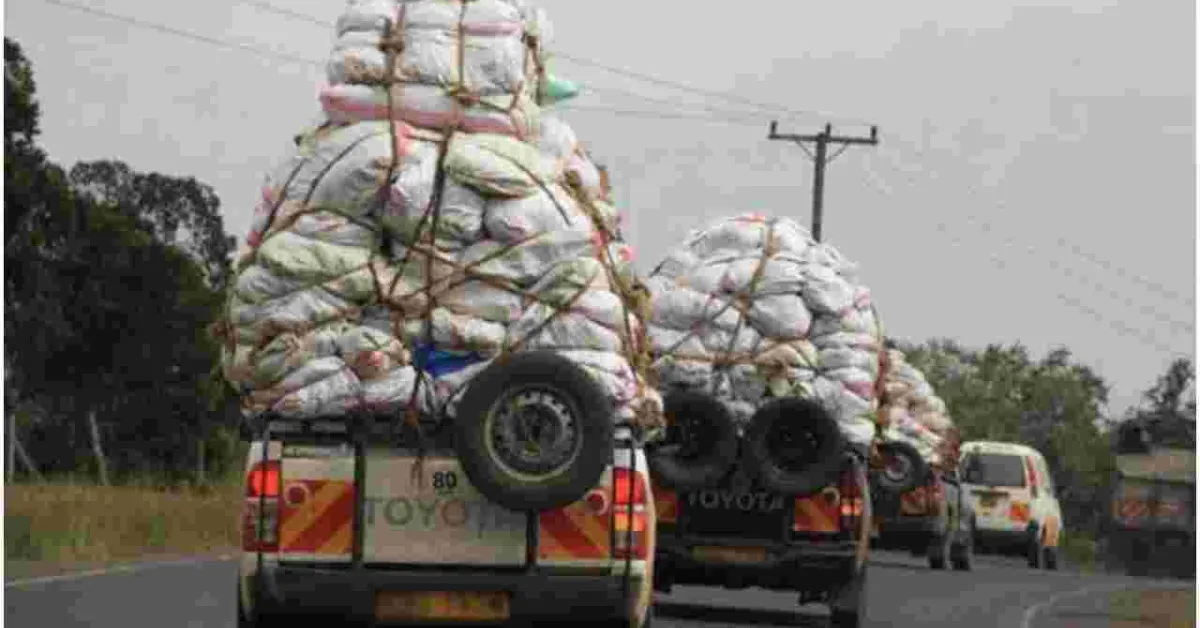 Suspected Al-Shabaab Militants Hijack Miraa Pickup Truck, Drive Off to Somalia