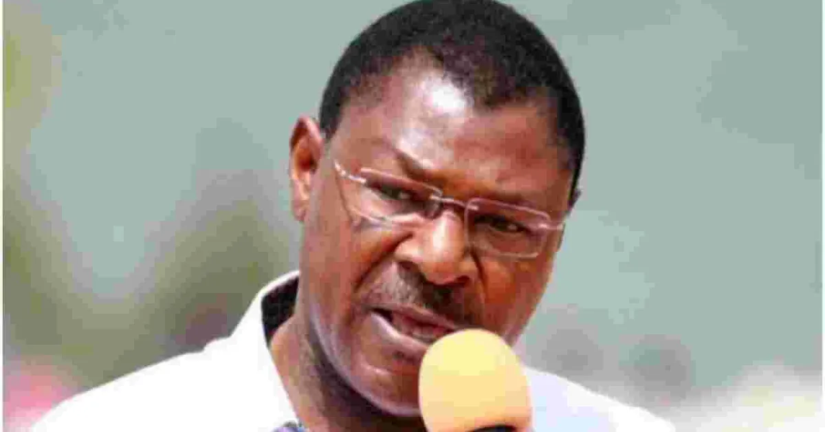 Senator Wetang’ula Accused of 'Stealing' Dogs Worth Sh248,000