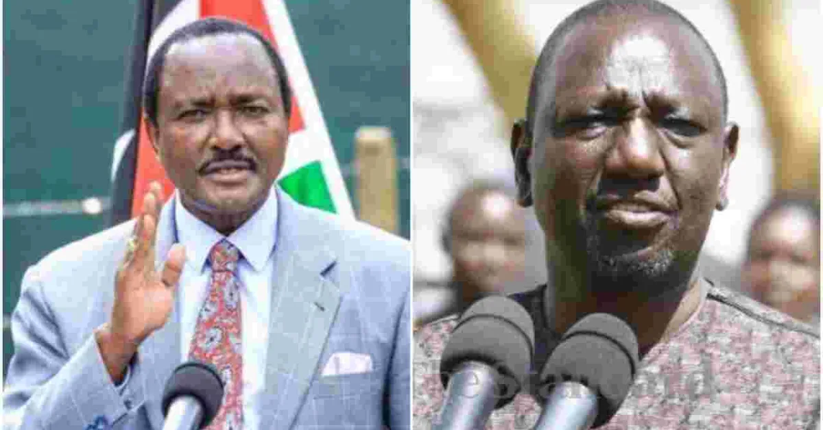 Kalonzo to Sue Deputy President William Ruto for Defamation