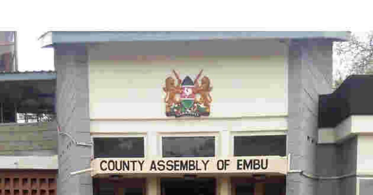 Embu MCAs Fly to Tanzania to Learn Etiquette and Campaign Language