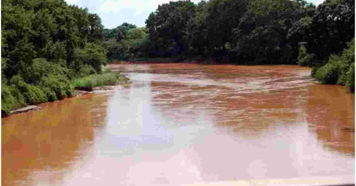 Alarm as 11 Mutilated Bodies are Retrieved from River Tana