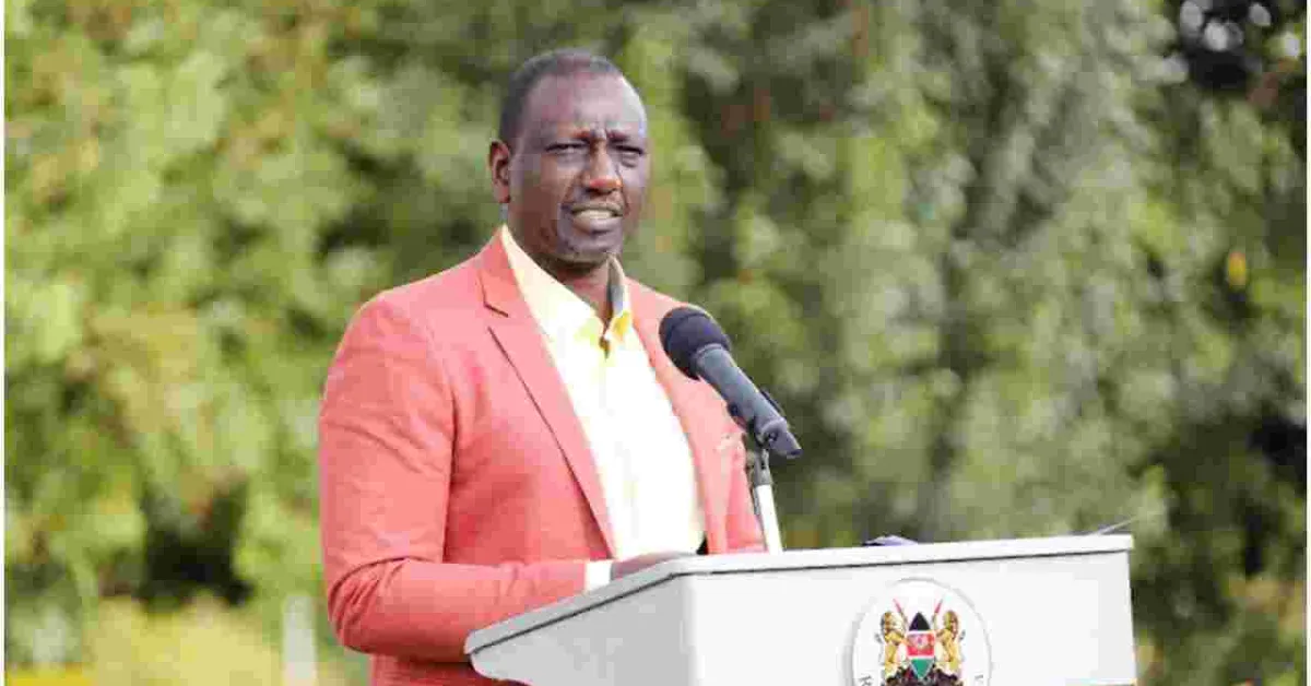 Ruto: I Make Sh1.5 Million a Day Selling Eggs from My Chicken Farm