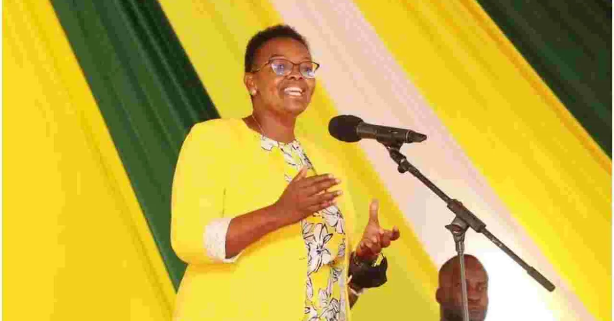 UDA Party Writes to President Uhuru Decrying Violence at Ruto's Political Rallies