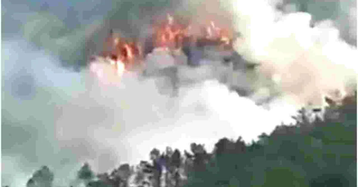 Boeing 737-800 Plane Carrying 132 People Crashes in China