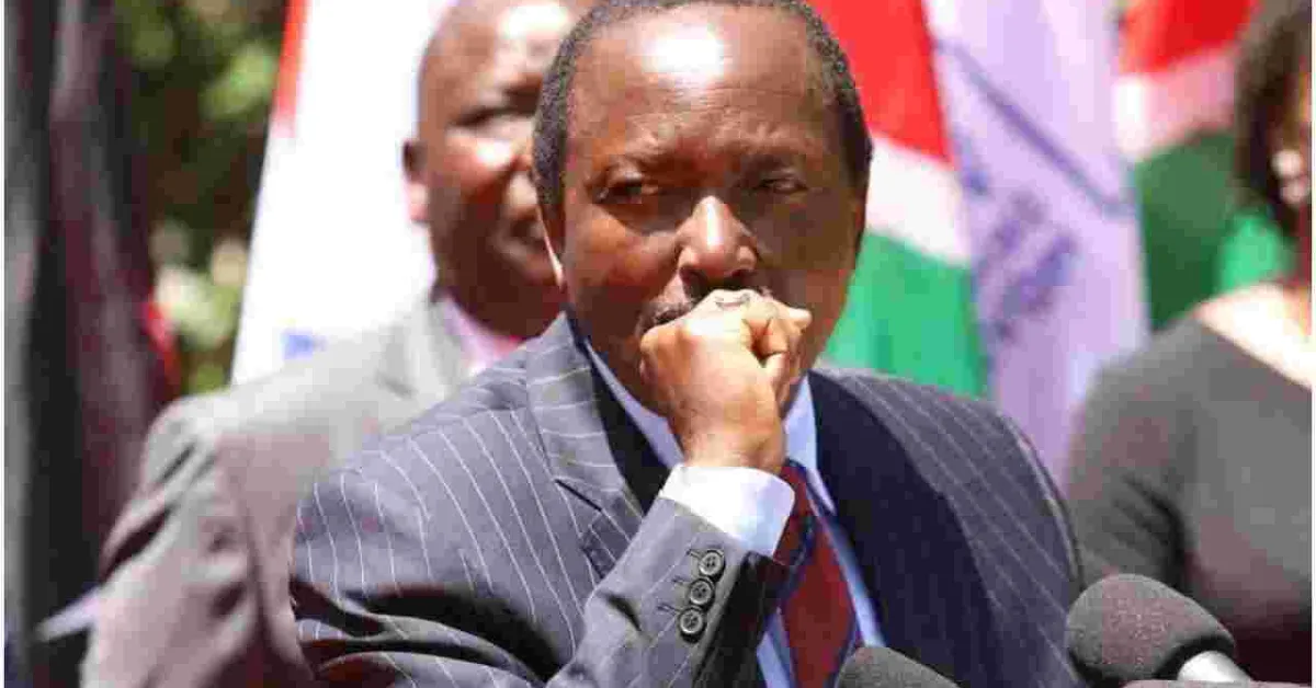 Kalonzo Locked Out of 2022 Presidential Race as IEBC Releases a List of 16 Candidates