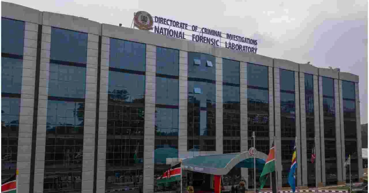 President Uhuru Declares War on 'Tuma kwa Hii Namba' Syndicate