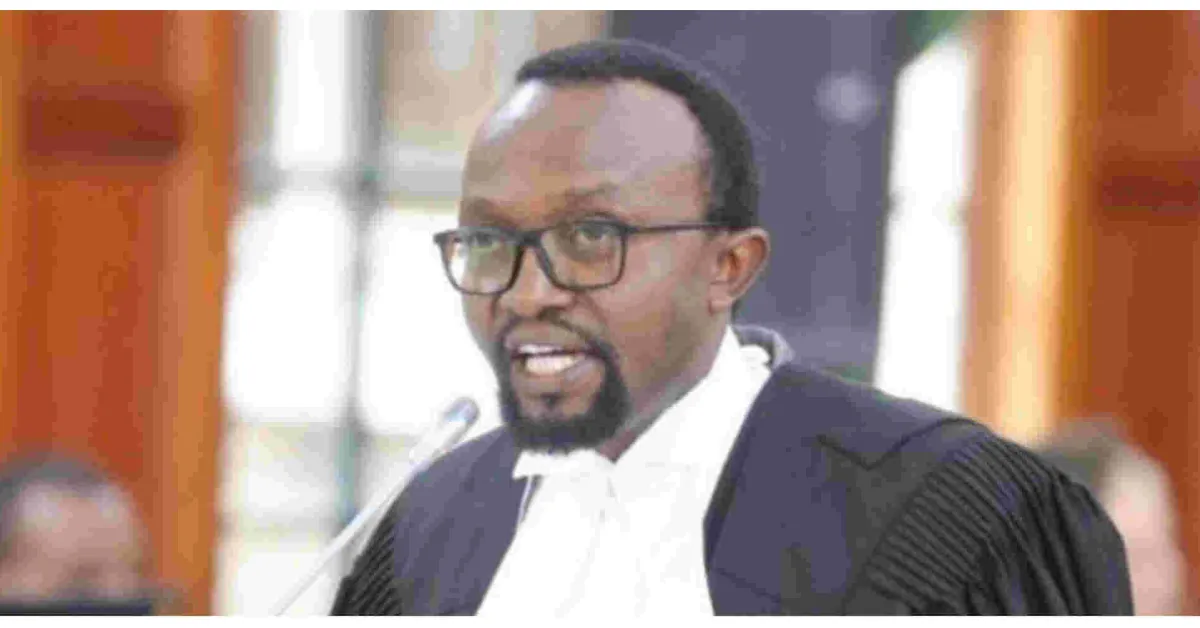 Lawyer Ndegwa Njiru Says Diaspora is an Alien Constituency That Contaminated the Kenya Presidential Election