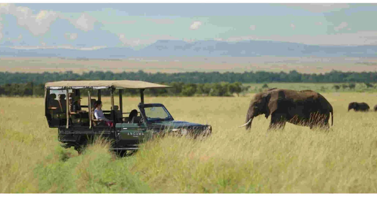US, Uganda and UK Lead Kenya Tourist Arrivals