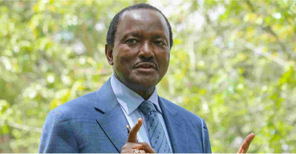 Kalonzo Hits Out at President Ruto, Accuses Him of Dictatorship