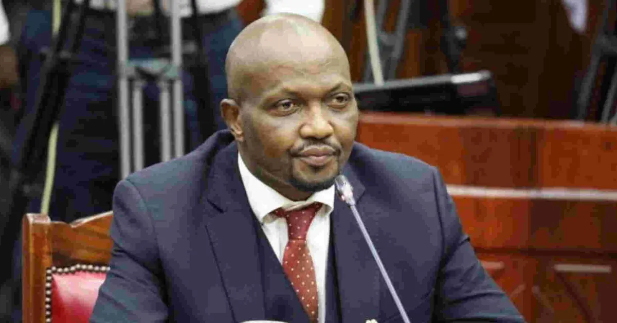 Kenya Gov't to Allow Import of Duty-Free GMO Maize for Six Months