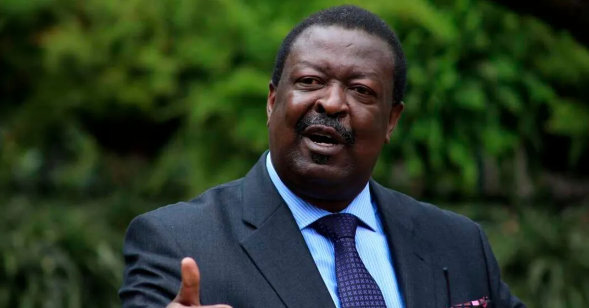 Burglars Break into Mudavadi’s Karen Home, Steal Household Items
