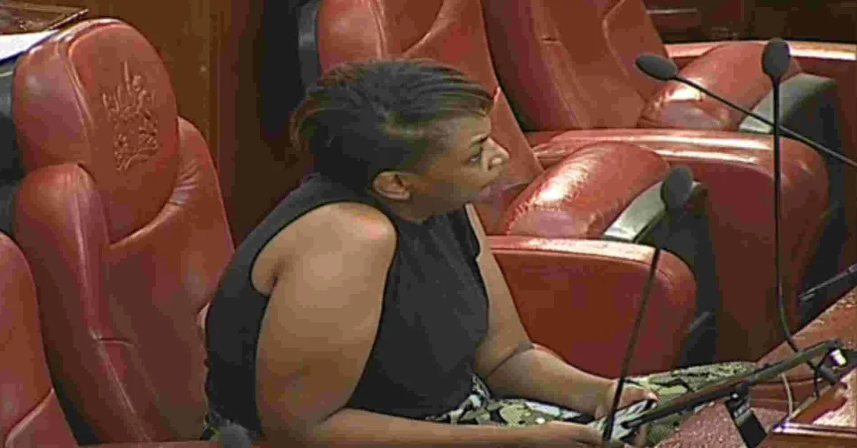 Senator Karen Nyamu Expelled from Senate Chamber over Inappropriate Dressing
