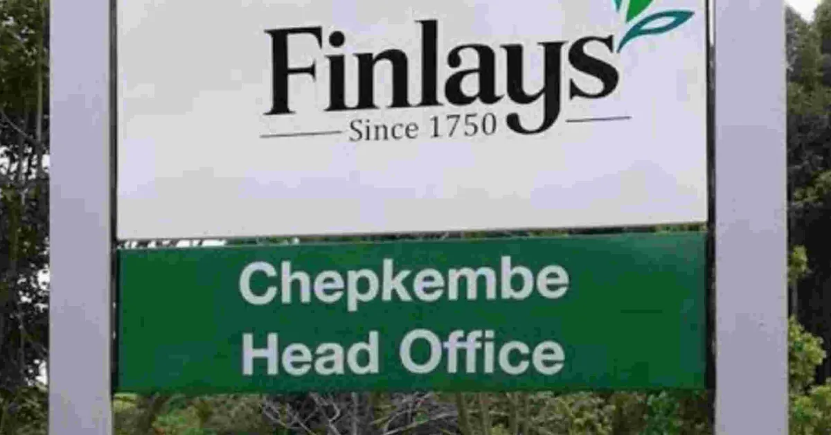 James Finlays Kenya Suspends Two Managers Accused of Sexually Abusing Female Workers