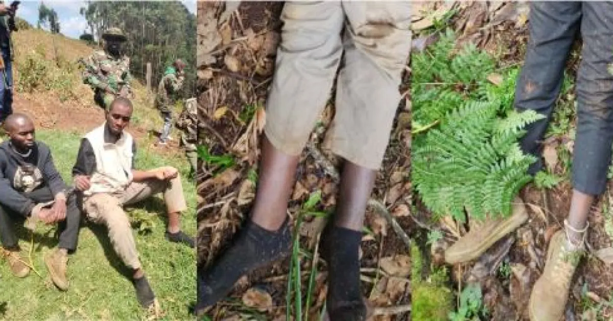 IPOA Probes Controversial Shooting of Two Suspected Bank Robbers in Murang'a