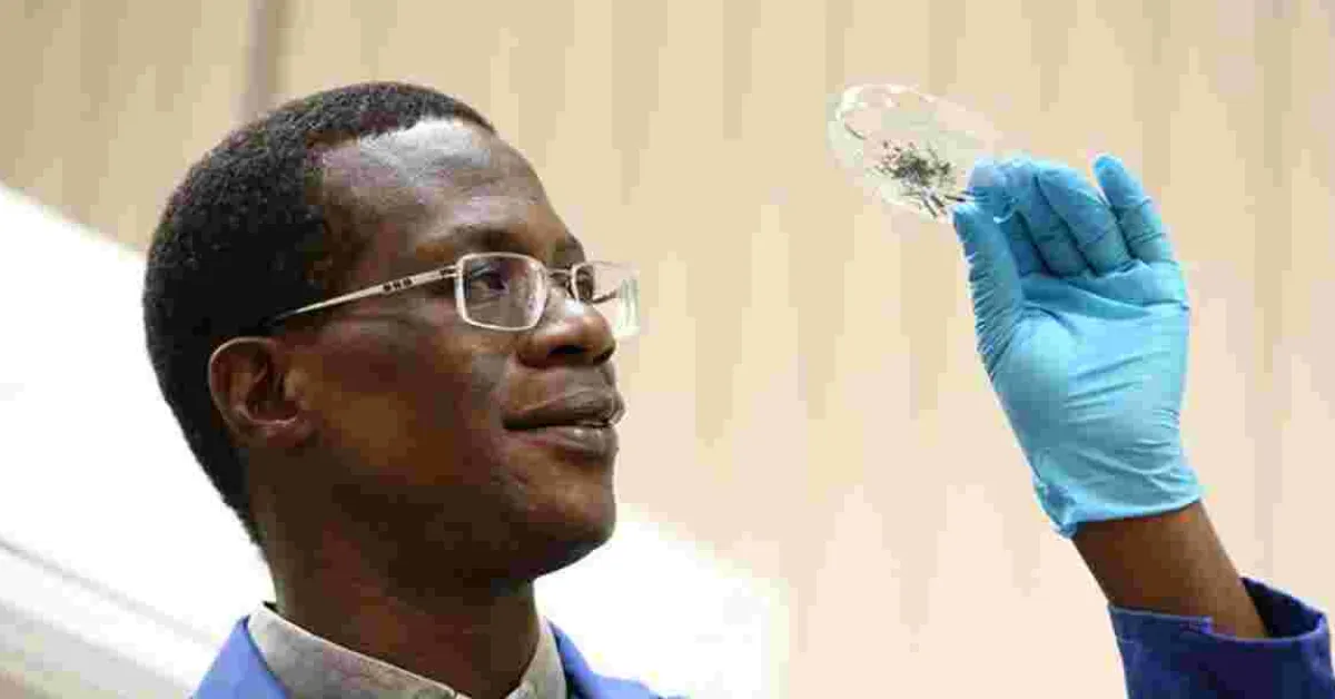 Kenyan Professor Recognized for Academic Excellence in the UK