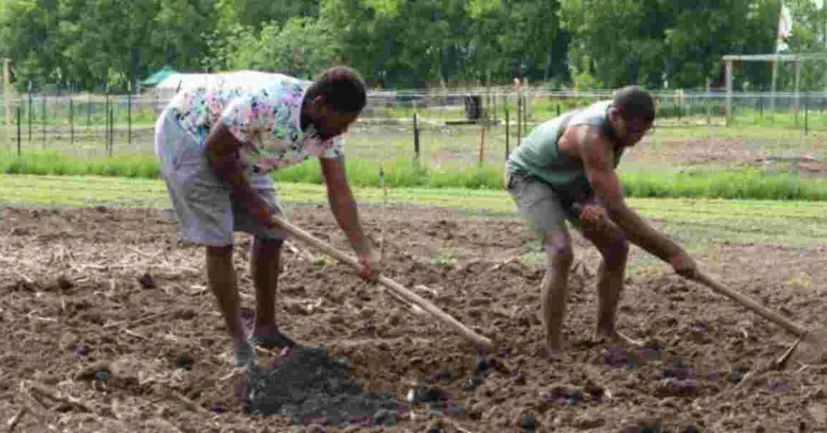 How Kenyan Erick Ateka Discovered His Farming Passion in Minnesota