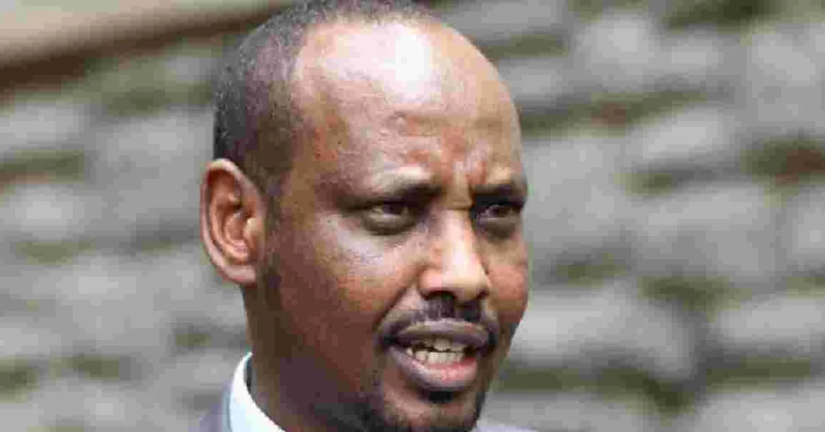 UDA MP Faults the US After Armed Thugs Kill 5 in Night Raid