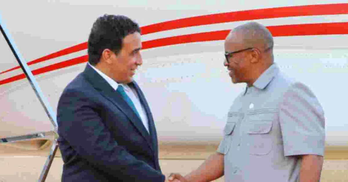 Over 10 Presidents Jet into Kenya to Attend AU Meeting