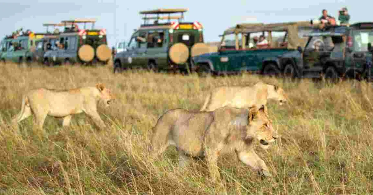 Kenya Ranked Among Top Destinations Worldwide by UK Citizens