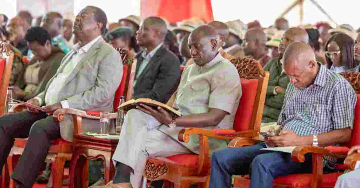 Demos, Witchcraft Will Not Lower Cost of Unga, Says Ruto