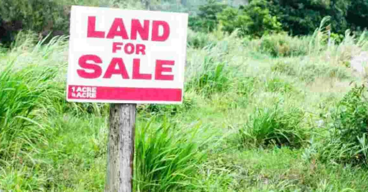 What to Do When the Government Acquires Your Land Compulsorily