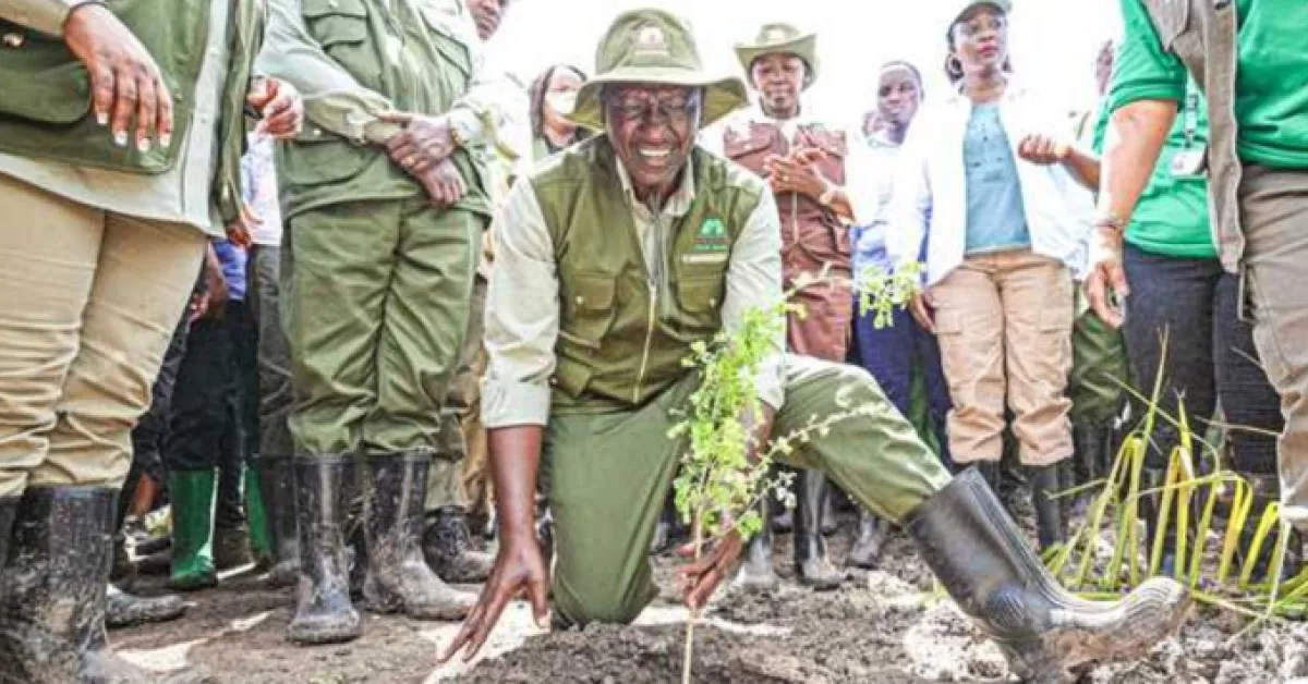President Ruto's Environmental Leadership Lands Him on Time Magazine's Top 100 List