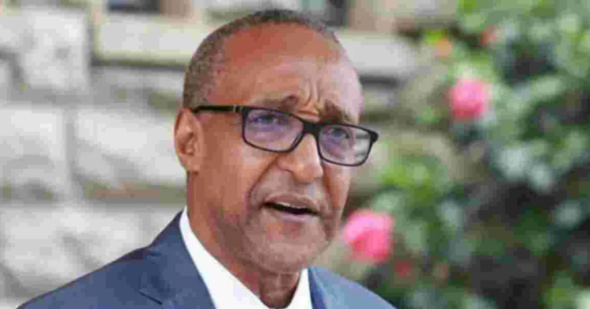 Former Foreign Affairs PS Slams JKIA, Calls it Stone Age Infrastructure