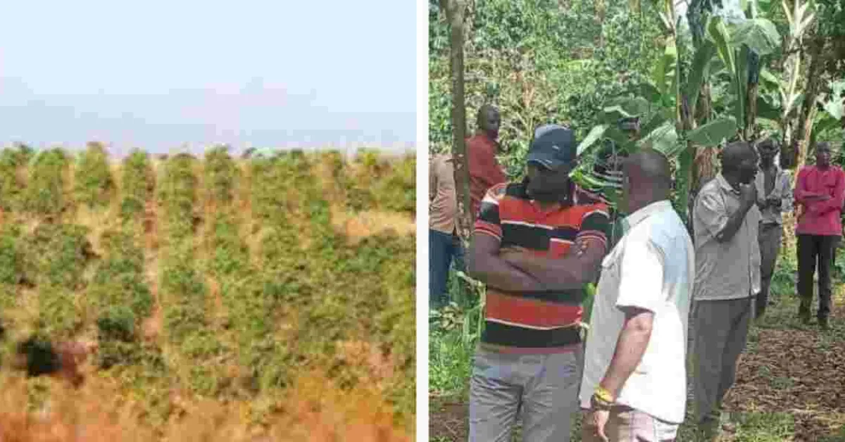 60-Year-Old Woman Brutally Murdered, Money Left Untouched