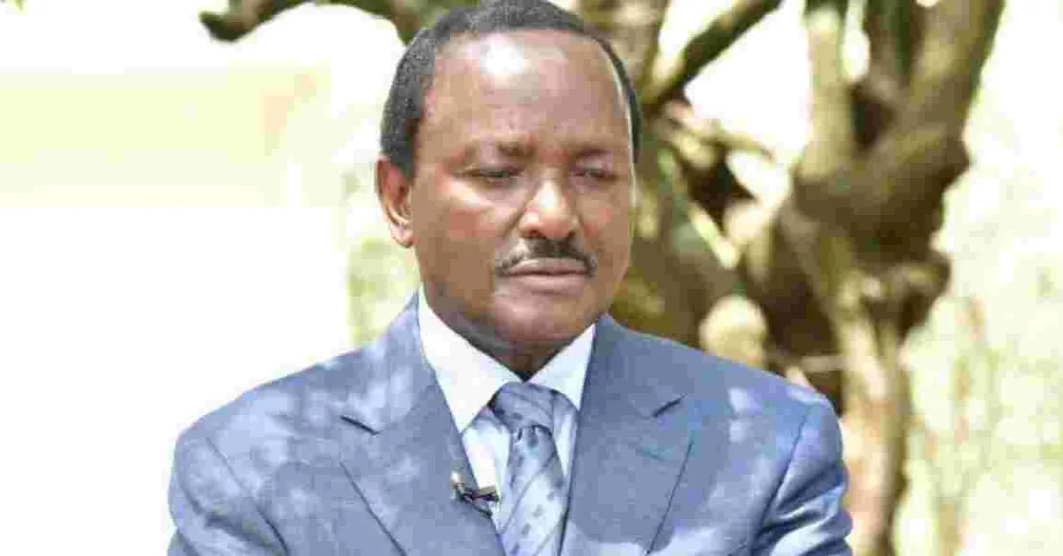 Kalonzo to Ruto: Brace for Political Tsunami to Oust Your Regime
