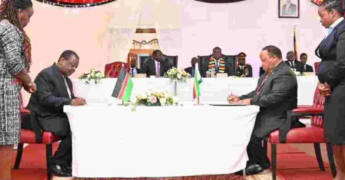 Zimbabwe Endorses Raila Odinga for Top AU Post