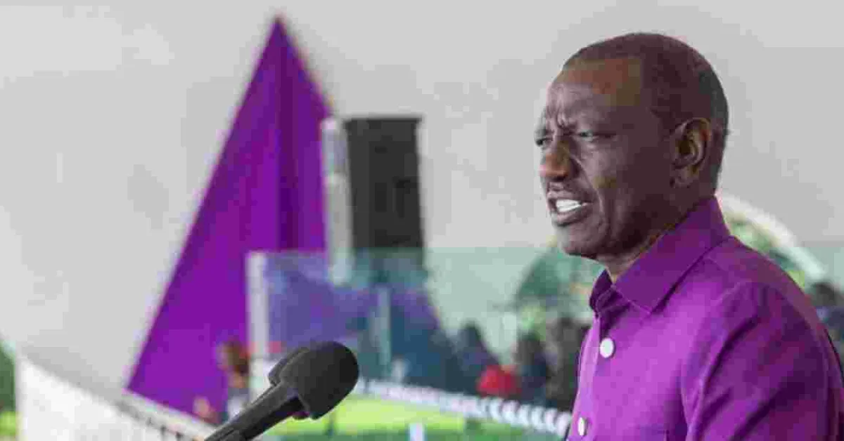 Ruto Embraces 'Zakayo' Nickname, Vows Transformation Through Tax Revenue