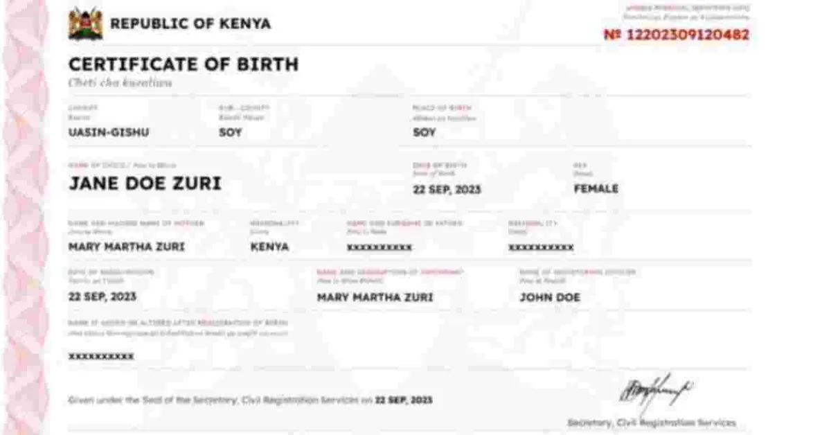 Kenyan Govt Urges Diaspora to Register Birth Certificates for Children Born Overseas