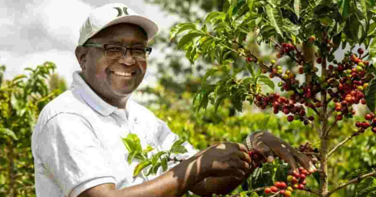 How Minneapolis Startup Uplifts Kenyan Coffee Farmers