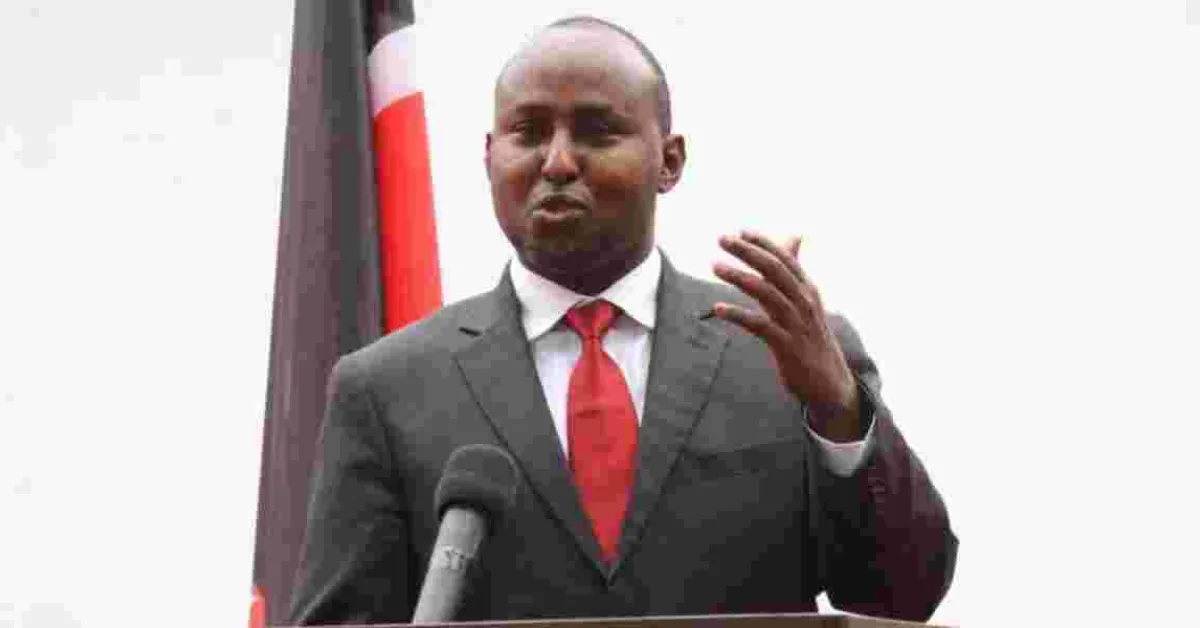 Junet Mohammed to Kalonzo: I'm the Real Opposition Leader