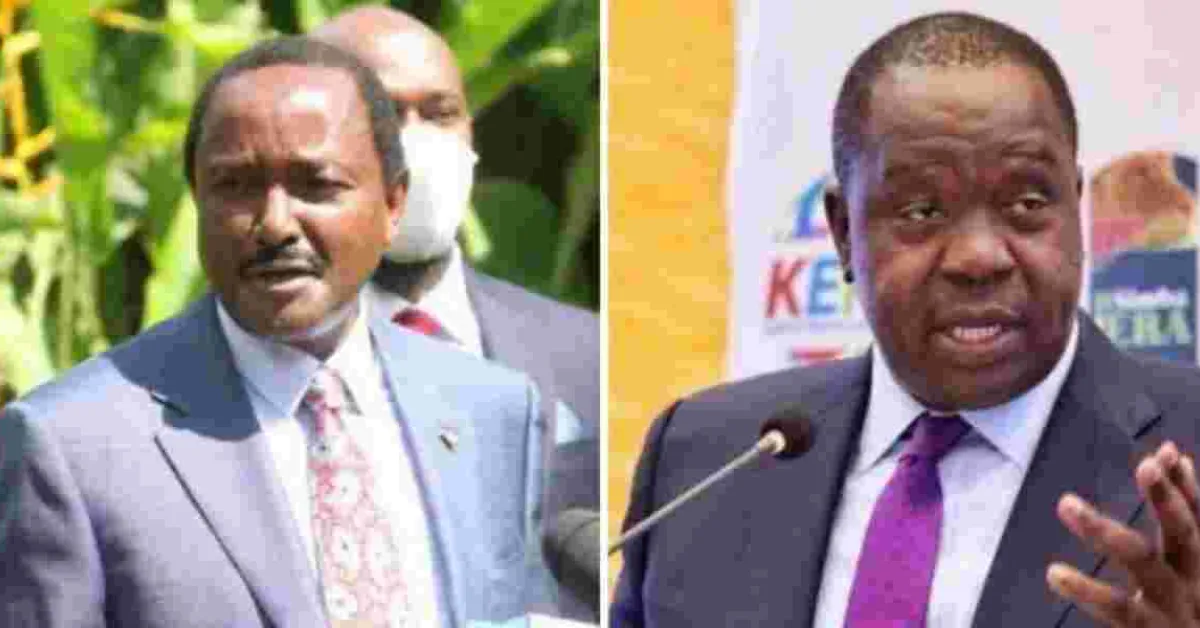 Matiang'i-Kalonzo Alliance in the Works, Kioni Confirms