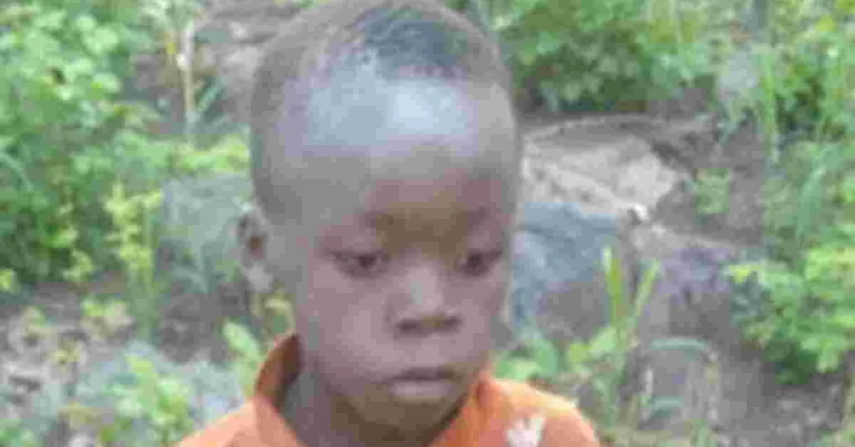 Eight-Year-Old Survives Five Days Alone in Lion-Inhabited Game Park