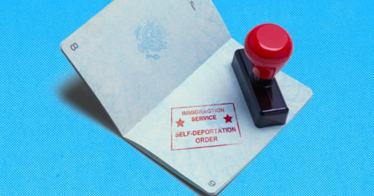 How US Citizens Can Respond to Mistaken Deportation Notices from Authorities