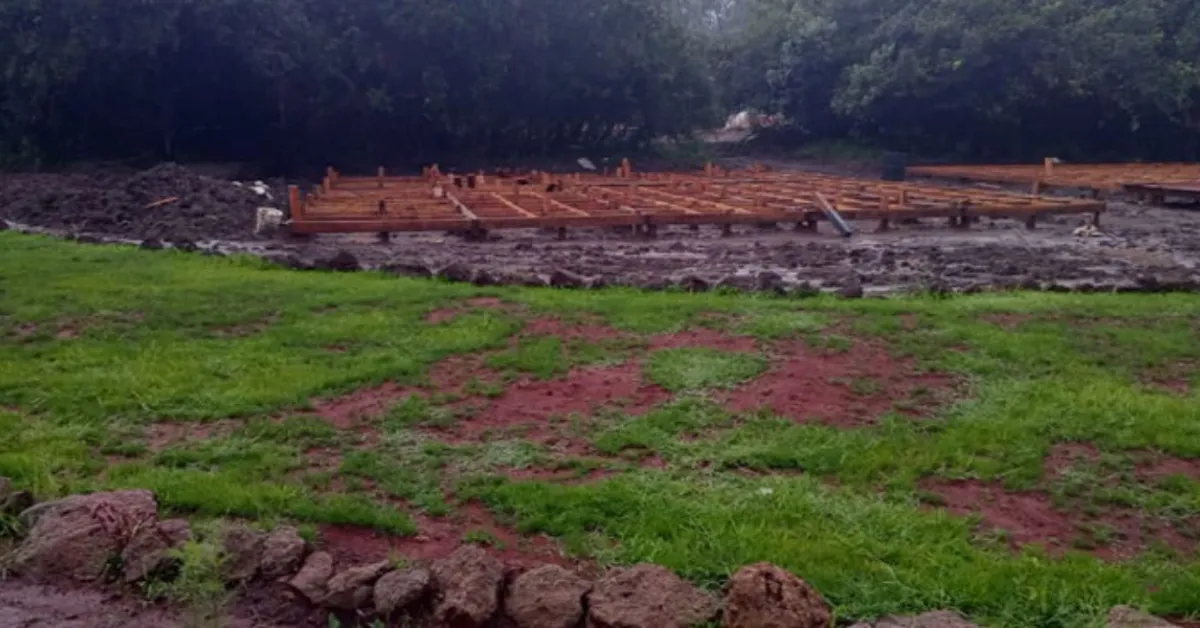 Luxury Hotel Construction in Ngong Road Forest Sparks Conservation Outrage